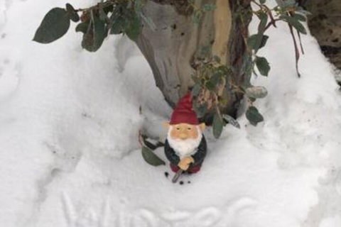 Winterbrook Chalet - Accommodation Newcastle 7