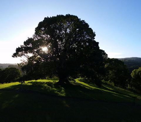 Valleydale Cottage - Accommodation Newcastle 1