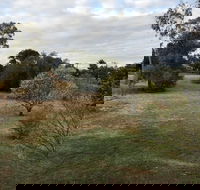Young Budget Accommodation - Accommodation Newcastle