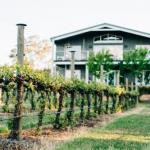 Mortimers Wines The Canopy Loft - Accommodation Newcastle 1