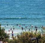 Pacific Towers Unit 4 19 Ormonde Tce Kings Beach - Accommodation Newcastle