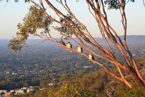 Kingsview Belair Apartment Grand Views Of Adelaide - Accommodation Newcastle 4