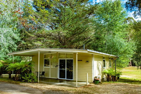 Russell Falls Holiday Cottages - Accommodation Newcastle 1