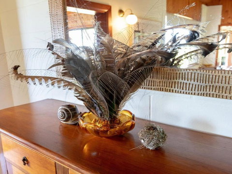 Captains Lookout Elevated Ocean Views Rural Stay - Accommodation Newcastle 4