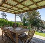 Seaspray on Culburra dolphin  whale watching - Accommodation Newcastle