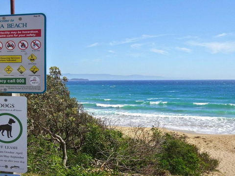 Shady Palms Modern Beach House With Studio - Accommodation Newcastle 2
