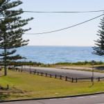 The Penguins Head Across From The Beach - Accommodation Newcastle 0