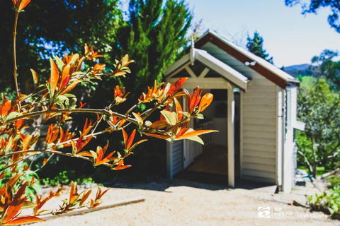ALSACE HEALESVILLE - Accommodation Newcastle 2