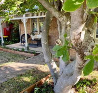SUMMER HOUSE CENTRAL LOCATION Near PARK - Accommodation Newcastle