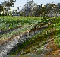 Renovated Cottage Aberdare Hunter Valley - Accommodation Newcastle