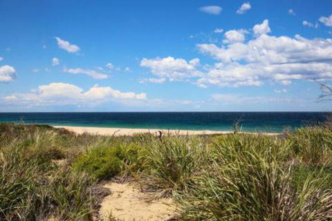 Sea Dream Pet Friendly 1 Min Walk To Beach - Accommodation Newcastle 5
