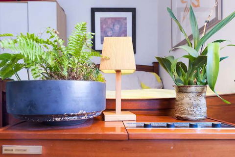 Beautiful Lush & Green Oasis Studio Apartment - Accommodation Newcastle 6