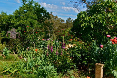 Clyde Cottage - Accommodation Newcastle 3