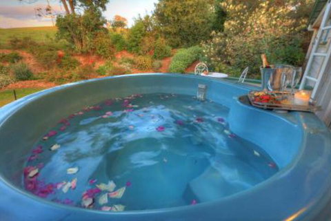 Maleny Homestead & Cottage - Accommodation Newcastle 4