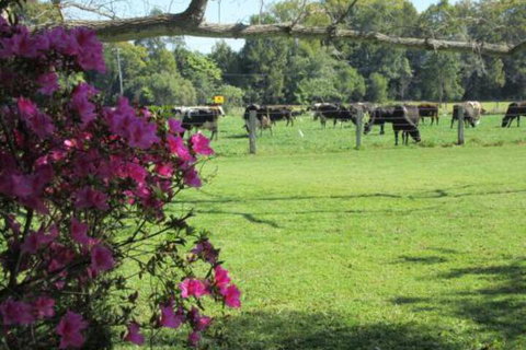 Greenfields - Accommodation Newcastle 2