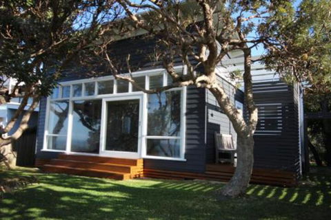 SEA URCHIN - Accommodation Newcastle 0