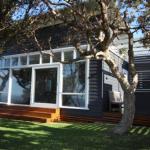 SEA URCHIN - Accommodation Newcastle 1