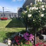 Velikaâ€™ - Accommodation Newcastle 0