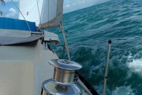 Casual Fare Sailing Charters Townsville Ocean Living Cruise - Accommodation Newcastle 2