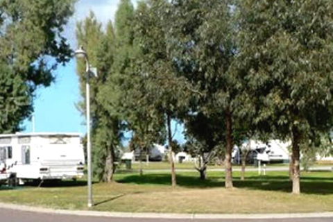 ARNO BAY CARAVAN PARK - Accommodation Newcastle 1