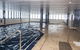 Pelicanstay In Southport Gold Coast - thumb 7