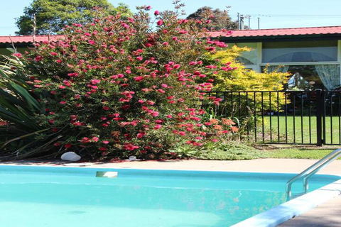 The Wurruk Motel - Accommodation Newcastle 4
