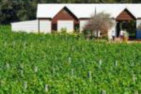 Upper Reach Spa Cottage - Accommodation Newcastle 0