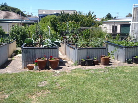 Evergreen - Accommodation Newcastle 4