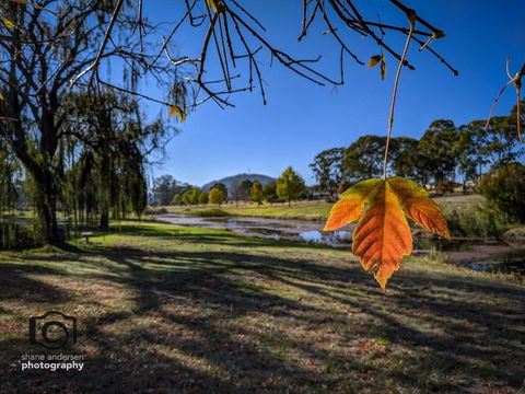 Dillons Cottage - Accommodation Newcastle 4