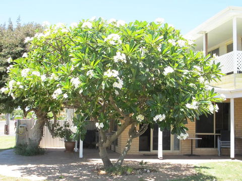 Kalbarri Riverfront Unit - Accommodation Newcastle 3