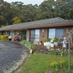 Black River TAS Accommodation Newcastle