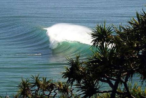 Cabarita Studio - Accommodation Newcastle 0