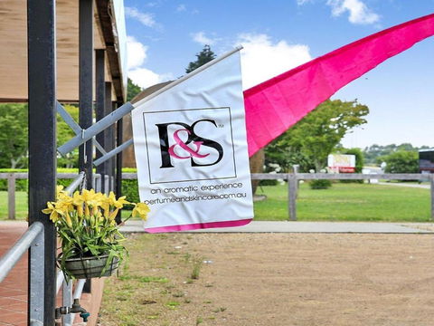 Misty Creek Of Robertson Proximity & Privacy - Accommodation Newcastle 3
