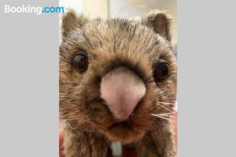 SKY GARDENS SUNSET RIVER VIEW NETFLIX WINE PARKING - Accommodation Newcastle 6