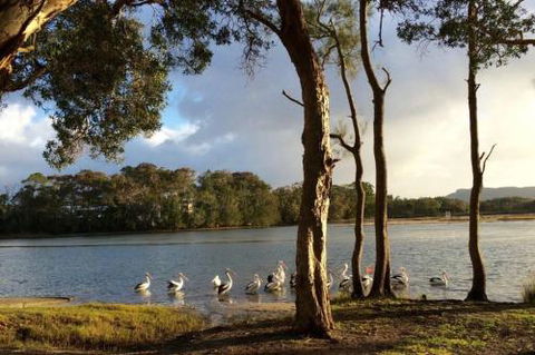 Lakehouse On Oxley - Accommodation Newcastle 2