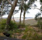 Canyon Cottage - Accommodation Newcastle