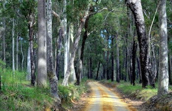 Oaks Ranch And Country Club - Accommodation Newcastle 1