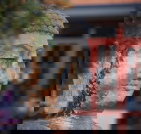 Pagoda Resort  Spa - Accommodation Newcastle