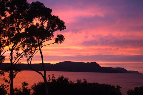 Sea Change Safety Cove - Accommodation Newcastle 1