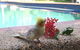 Hidden Valley Holiday Park - thumb 3