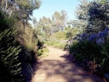 Cockatoo Valley SA Accommodation Newcastle