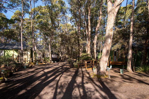 Lake St Clair Lodge - Accommodation Newcastle 2