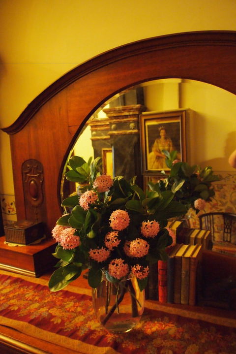 Vacy Hall Toowoomba's Grand Boutique Hotel - Accommodation Newcastle 6
