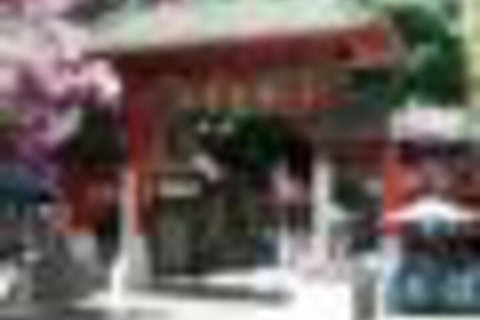 The Harbour Phoenix - Accommodation Newcastle 4