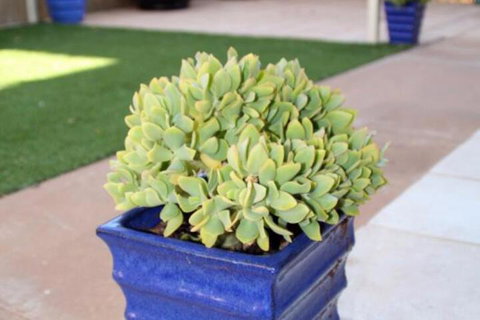 Sunset Retreat - Accommodation Newcastle 3