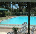 The Tree Motel - Accommodation Newcastle