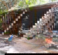 Kerriley Park Farm Stay - Accommodation Newcastle