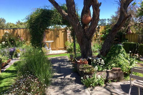 Aggies Bed & Breakfast - Accommodation Newcastle 5