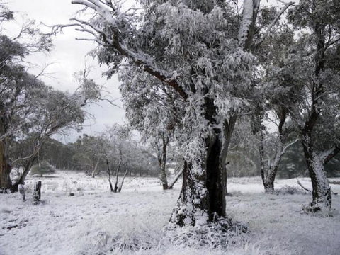 Alpha Centauri 8 Budget Jindabyne Holiday Apartment - Accommodation Newcastle 3