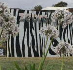 Zebras Guest House - Accommodation Newcastle